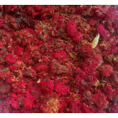 Anaar Phool - Gul-e-Anar – Gule Anar - Gulnar Farsi - Punica Granatum – Pomegranate Flower