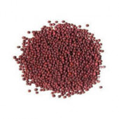 Shalgam Beej - Shaljam Seeds - Turnip Seeds - Brassica rapa Linn