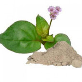 Punarnava Roots Powder - Sathi Jadd Powder - Boerhavia Diffusa